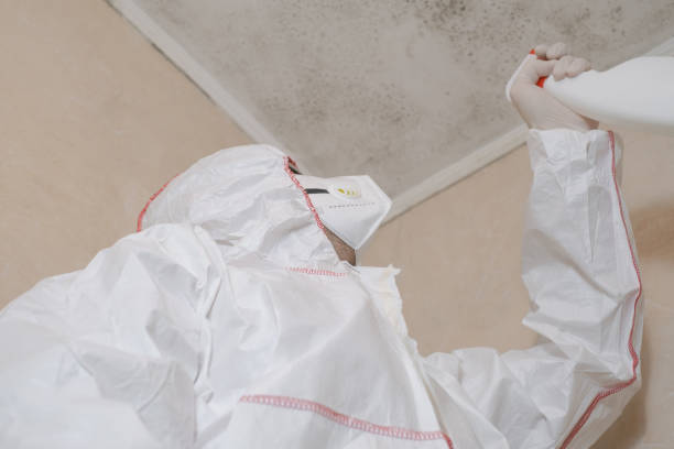 Best Commercial Mold Remediation in Pelham, GA